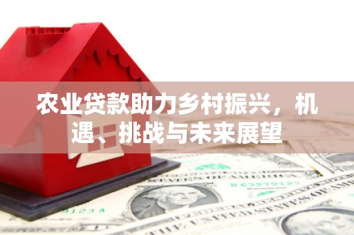 靖西农业贷款助力乡村振兴，机遇、挑战与未来展望