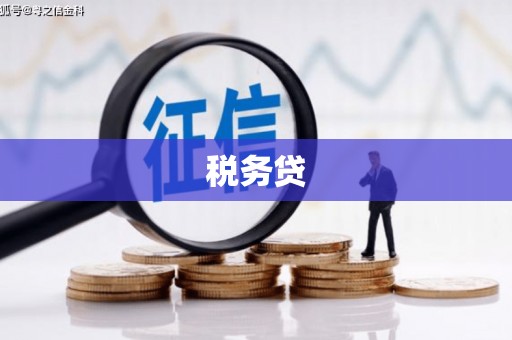 靖西税务贷