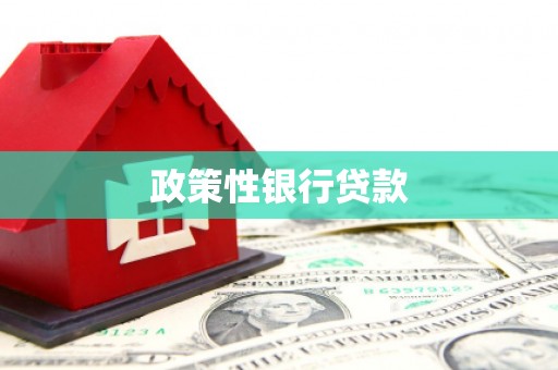 靖西政策性银行贷款