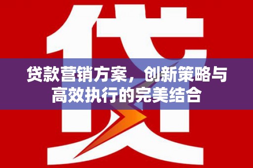 靖西贷款营销方案，创新策略与高效执行的完美结合