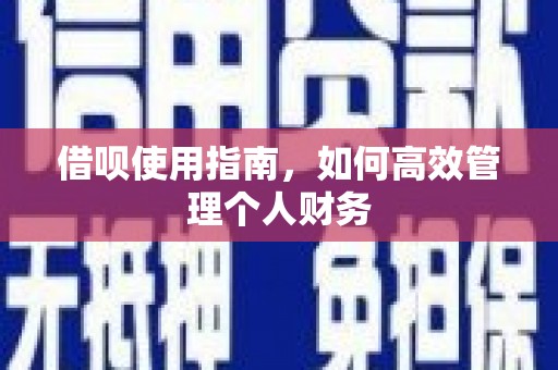 靖西借呗使用指南，如何高效管理个人财务