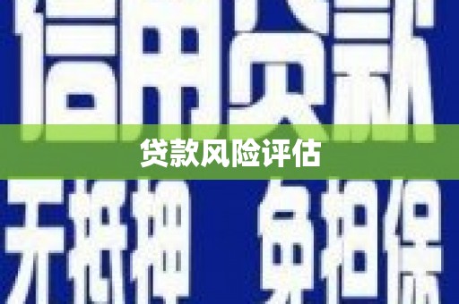 靖西贷款风险评估