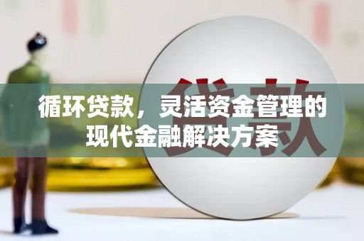 靖西循环贷款，灵活资金管理的现代金融解决方案