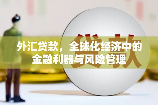靖西外汇贷款，全球化经济中的金融利器与风险管理