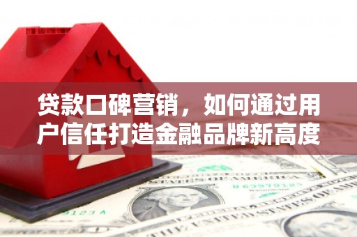 靖西贷款口碑营销，如何通过用户信任打造金融品牌新高度