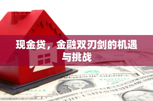 靖西现金贷，金融双刃剑的机遇与挑战