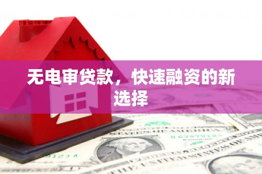 靖西无电审贷款，快速融资的新选择