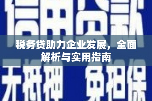 靖西税务贷助力企业发展，全面解析与实用指南