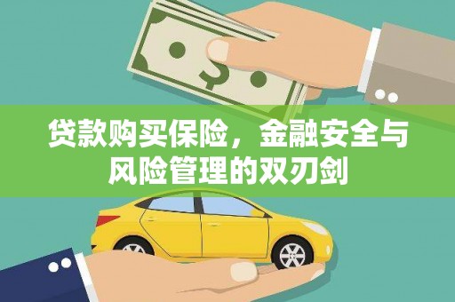 靖西贷款购买保险，金融安全与风险管理的双刃剑