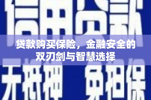 靖西贷款购买保险，金融安全的双刃剑与智慧选择