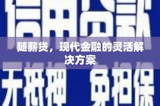 靖西随薪贷，现代金融的灵活解决方案