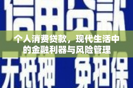 靖西个人消费贷款，现代生活中的金融利器与风险管理