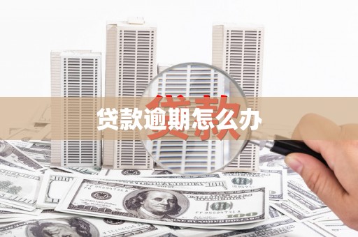 靖西贷款逾期怎么办