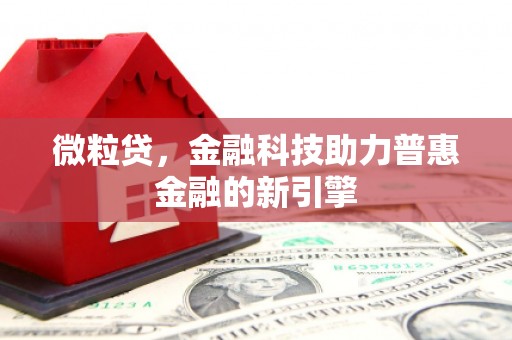 靖西微粒贷，金融科技助力普惠金融的新引擎