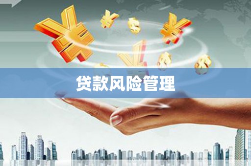靖西贷款风险管理