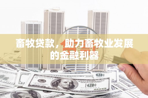 靖西畜牧贷款，助力畜牧业发展的金融利器