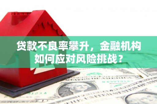 靖西贷款不良率攀升，金融机构如何应对风险挑战？