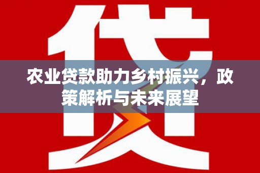 靖西农业贷款助力乡村振兴，政策解析与未来展望