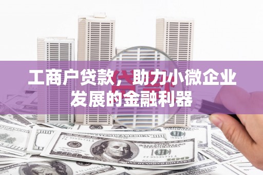 靖西工商户贷款，助力小微企业发展的金融利器