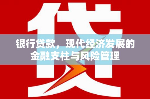 靖西银行贷款，现代经济发展的金融支柱与风险管理