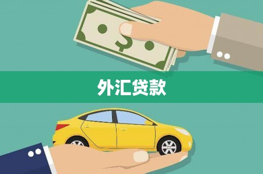 靖西外汇贷款