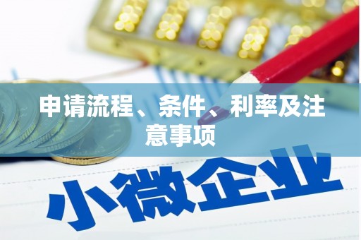 靖西申请流程、条件、利率及注意事项