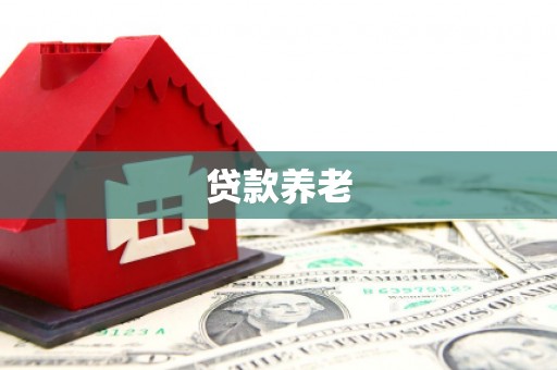 靖西贷款养老