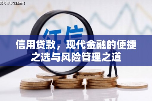 靖西信用贷款，现代金融的便捷之选与风险管理之道