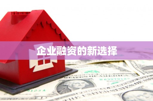 靖西企业融资的新选择