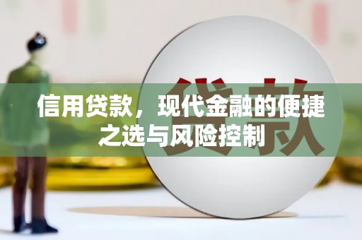 靖西信用贷款，现代金融的便捷之选与风险控制