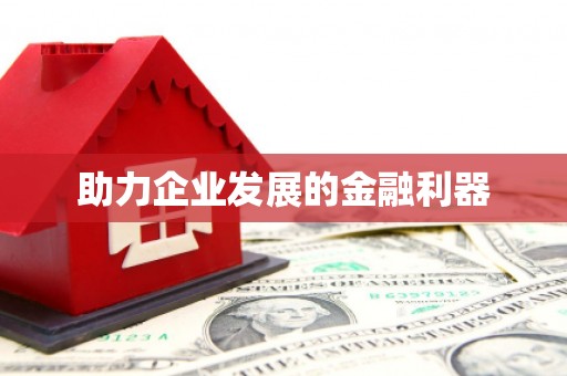 靖西助力企业发展的金融利器