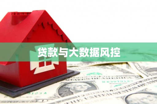 靖西贷款与大数据风控