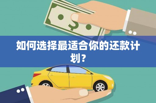 靖西如何选择最适合你的还款计划？