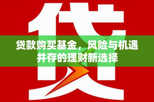 靖西贷款购买基金，风险与机遇并存的理财新选择