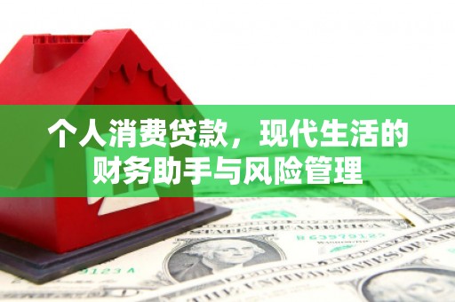 靖西个人消费贷款，现代生活的财务助手与风险管理