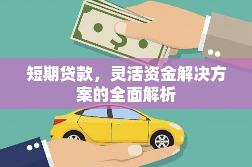 靖西短期贷款，灵活资金解决方案的全面解析