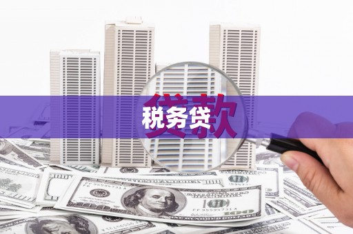 靖西税务贷