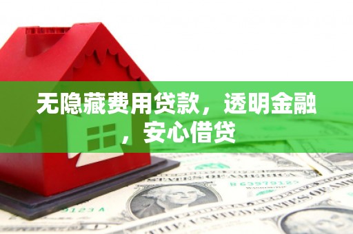 靖西无隐藏费用贷款，透明金融，安心借贷