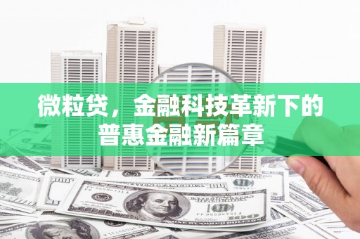 靖西微粒贷，金融科技革新下的普惠金融新篇章