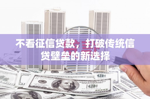 靖西不看征信贷款，打破传统信贷壁垒的新选择