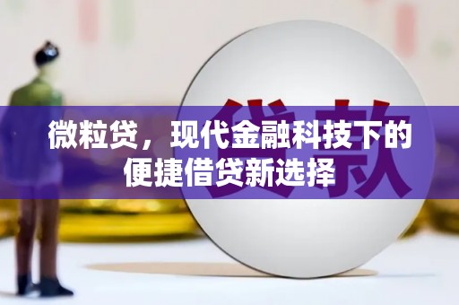 靖西微粒贷，现代金融科技下的便捷借贷新选择