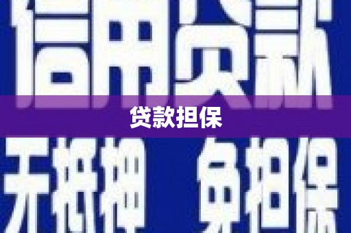 靖西贷款担保