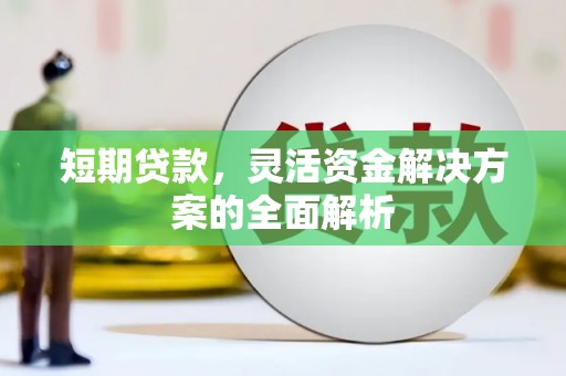 靖西短期贷款，灵活资金解决方案的全面解析