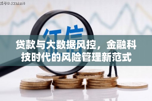 靖西贷款与大数据风控，金融科技时代的风险管理新范式