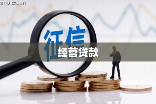 靖西经营贷款