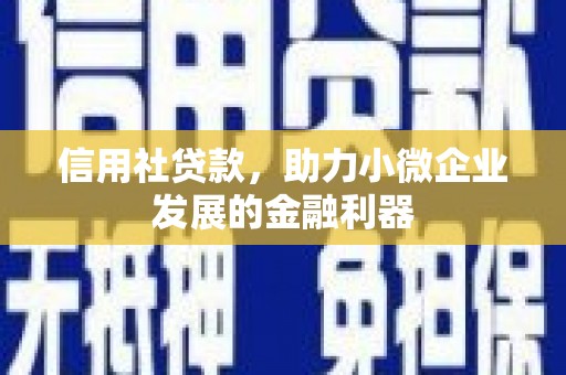 靖西信用社贷款，助力小微企业发展的金融利器