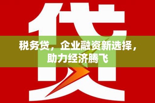 靖西税务贷，企业融资新选择，助力经济腾飞