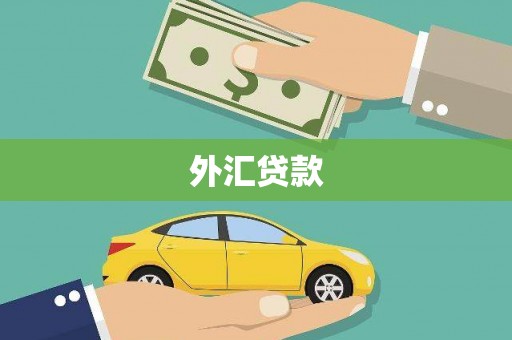 靖西外汇贷款