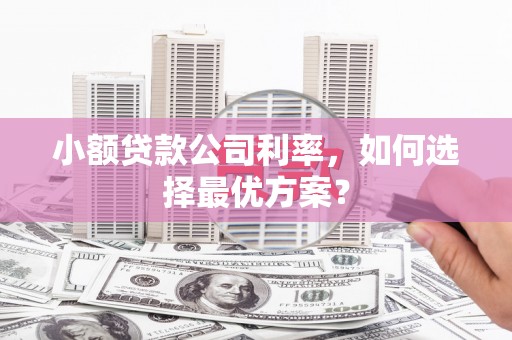 靖西小额贷款公司利率，如何选择最优方案？