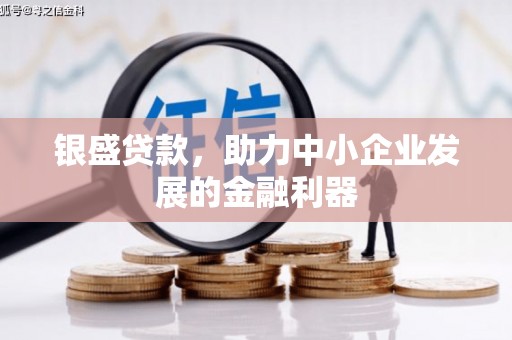 靖西银盛贷款，助力中小企业发展的金融利器